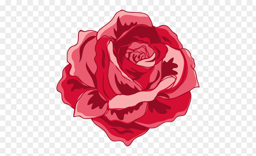 Flower Garden Roses Centifolia Floribunda Clip Art PNG