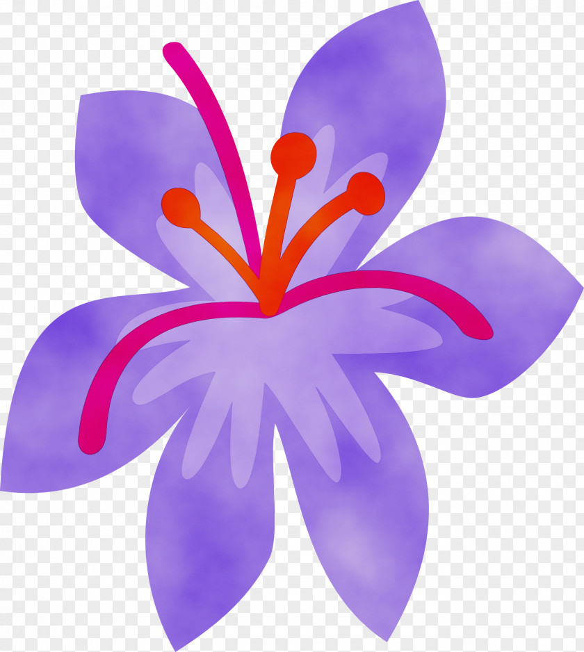 Iris Family Flowering Plant Petal Violet Purple Flower PNG