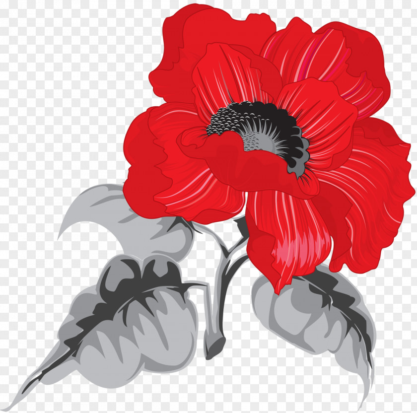 Poppy Flower Desktop Wallpaper PNG