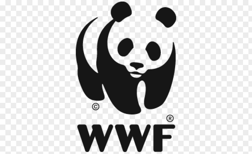 World Wildlife Day Wide Fund For Nature Organization Cass Business School Conservation Natural Environment PNG