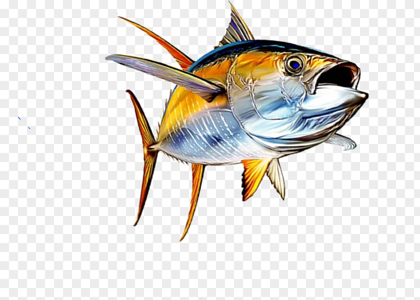 Canning Wood Tuna Salad Yellowfin Fish Seafood PNG