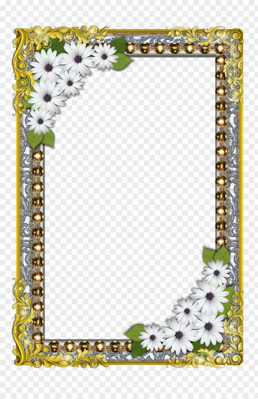 Diamond Border Picture Frames Flower Floral Design Clip Art PNG