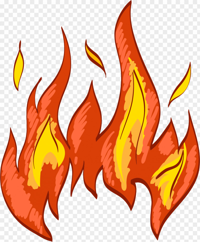 Flame Combustion Fire Drawing PNG