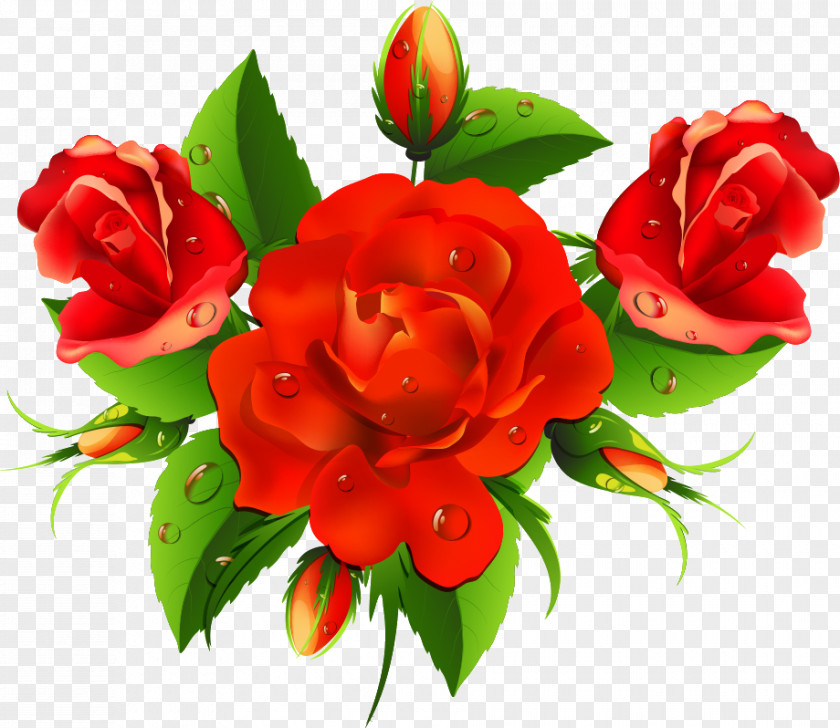 Floral Flowers PNG