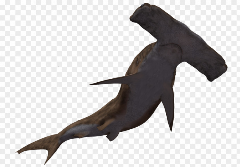 Shark Hammerhead Clip Art PNG