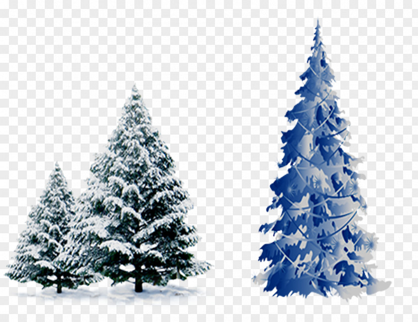 With Snow Pine Christmas Tree Cedar Spruce PNG