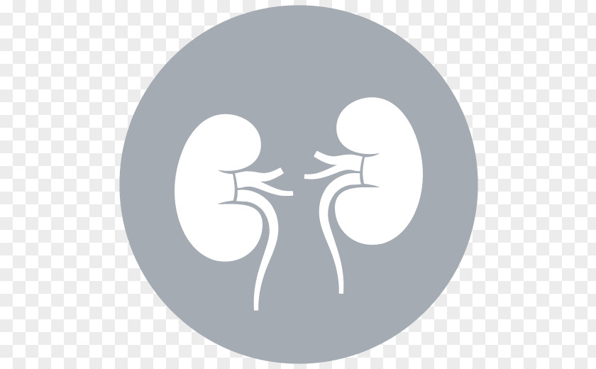 Kidney Computer Icons Medicine Organ Cancer PNG Cancer, kidney clipart PNG