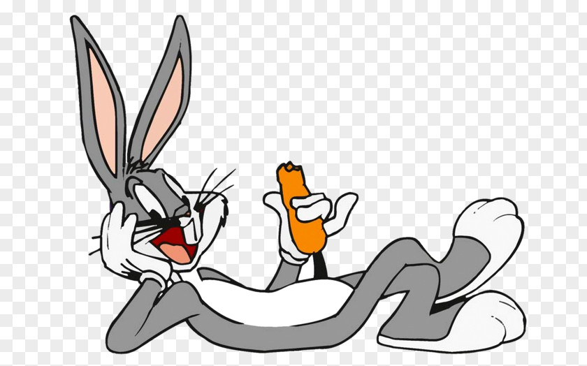 Rabbit Bugs Bunny Buster Daffy Duck Looney Tunes Clip Art PNG