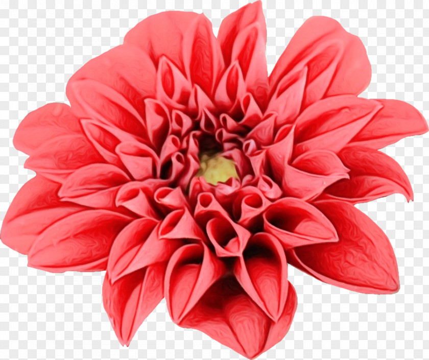 Artificial Flower Cut Flowers PNG