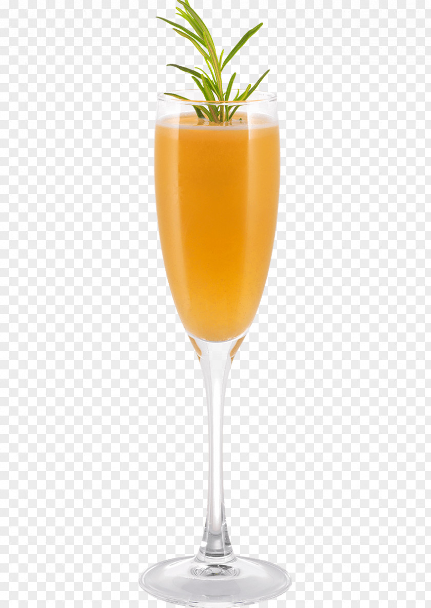 Cocktail Orange Drink Ghasr Talaee International Hotel Garnish Cafe Champagne PNG