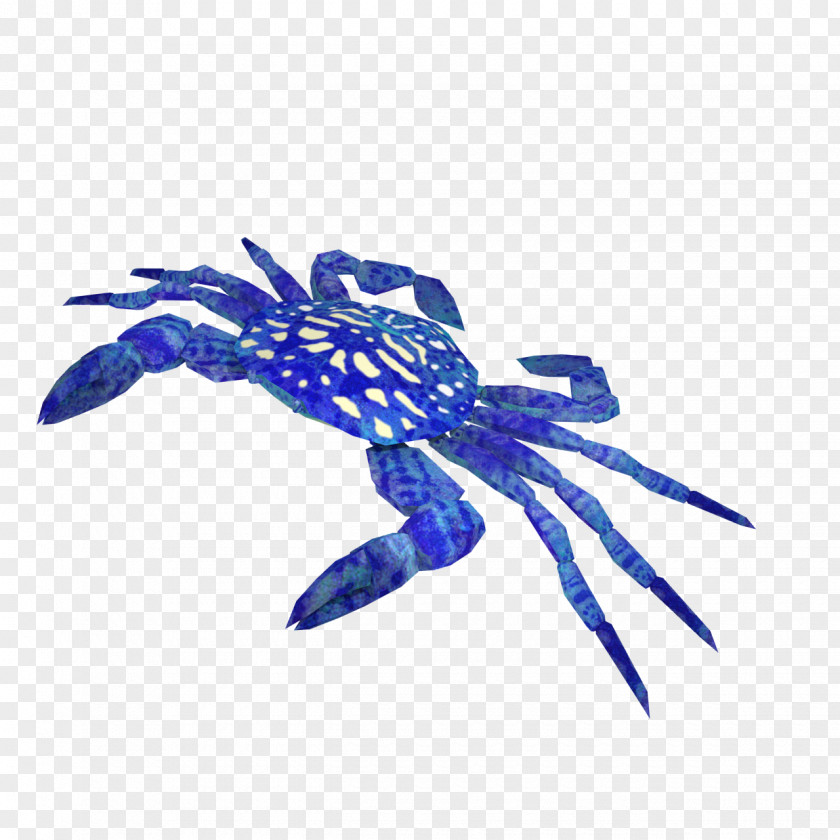 Crab Insect PNG