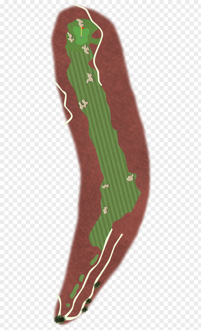 Golf Hole Green Shoe PNG