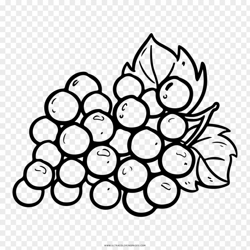 Grape Grapevines Coloring Book Fruit PNG