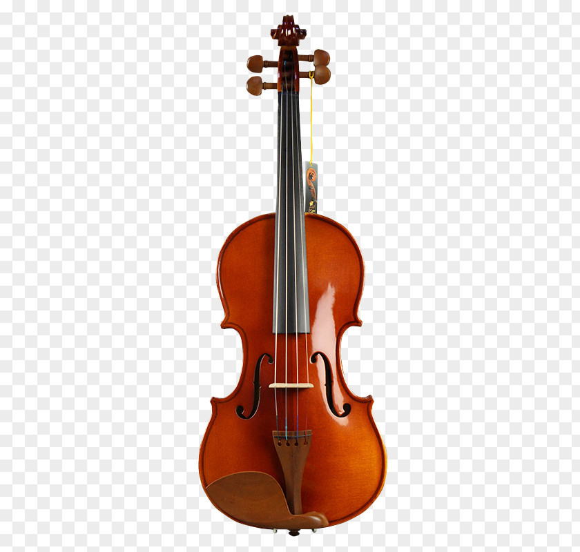 Kapok Cotton Tree V008 Zaomu Beginner Violin Musical Instrument Bow String Cello PNG