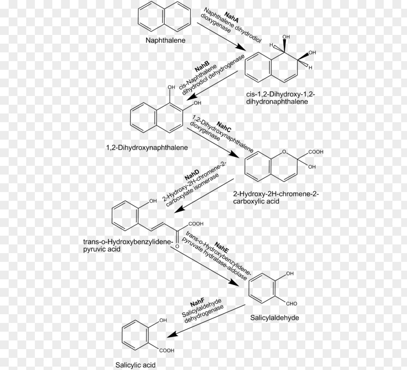 Naphthalene Polycyclic Aromatic Hydrocarbon Biodegradation PNG