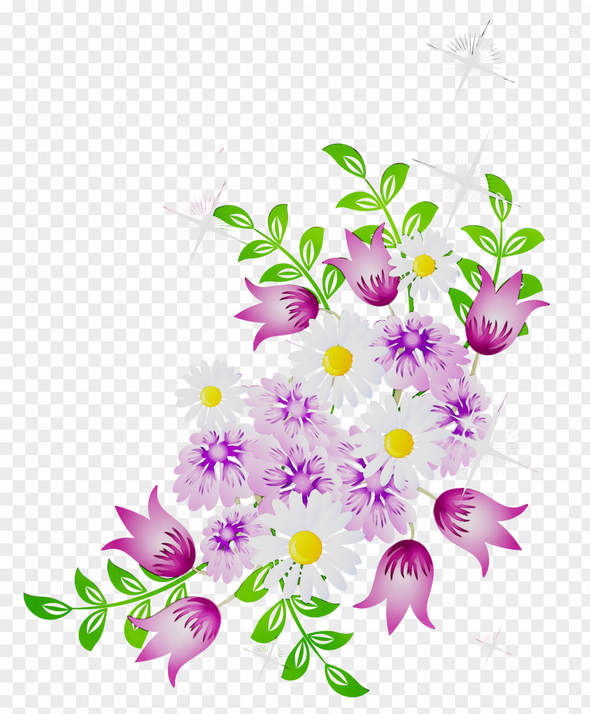 Vector Graphics Flower Clip Art Floral Design PNG
