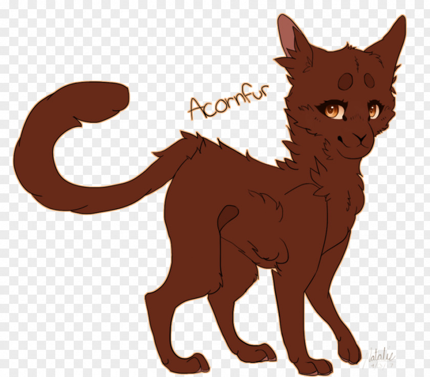 Warrior Cat Drawings Kitten Whiskers Super Edition Series SkyClan's Destiny PNG