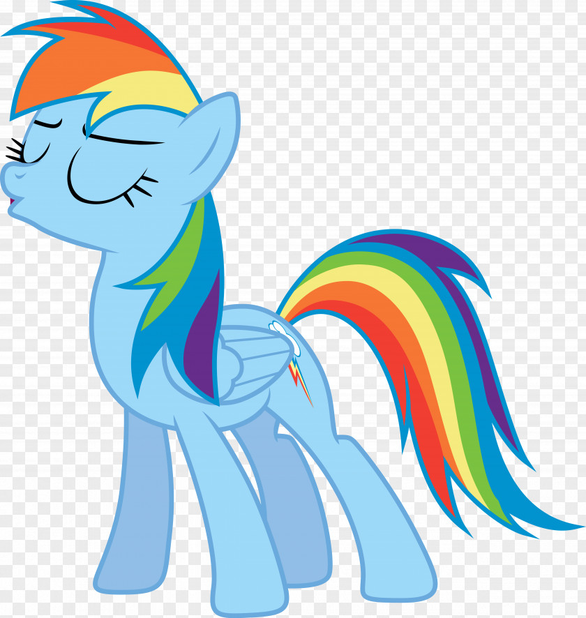 Rainbow Dash My Little Pony Derpy Hooves PNG