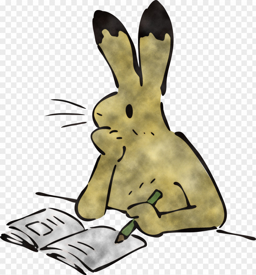 Reading Book Rabbit PNG