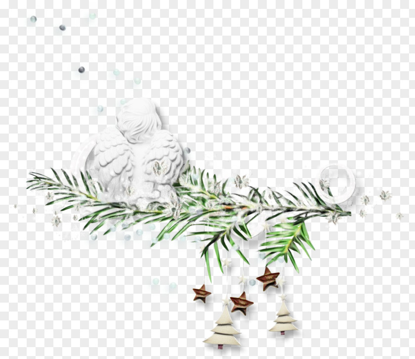 Red Pine Cypress Family Christmas And New Year Background PNG