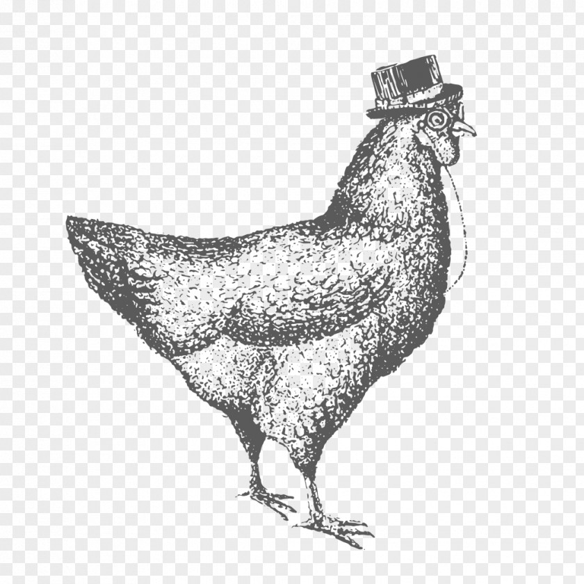Chicken Rooster As Food Drawing PNG