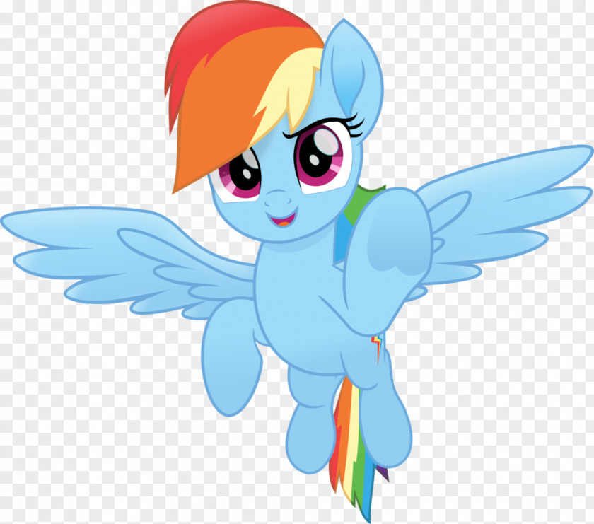 Dash Rainbow Pony Pinkie Pie Twilight Sparkle Rarity PNG