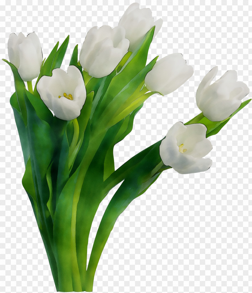 Flower Bouquet Tulip Rose Cut Flowers PNG