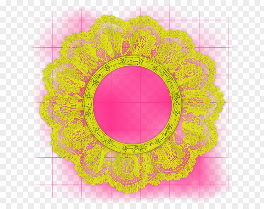 Fond Couleur Floral Design Picture Frames Pattern PNG