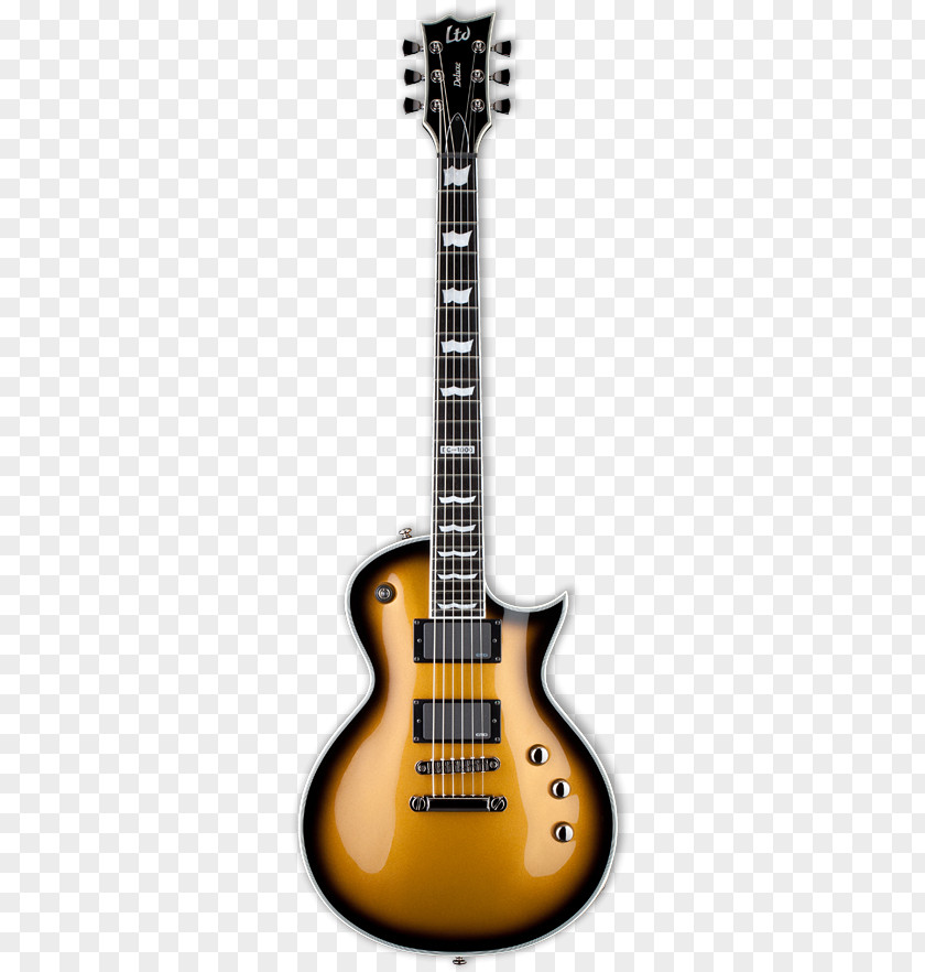 Gibson Brands, Inc. ESP LTD EC-1000 Guitars Electric Guitar EC-256FM PNG