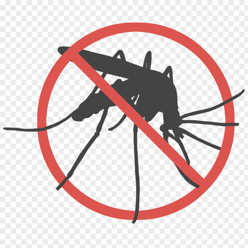 Mosquito Marsh Mosquitoes Malaria Mosquito-borne Disease Control PNG