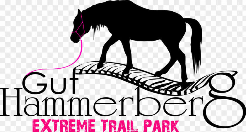 Park Trail Extreme Gut Hammerberg Reithalle Bösenburg Pony Of The Americas PNG