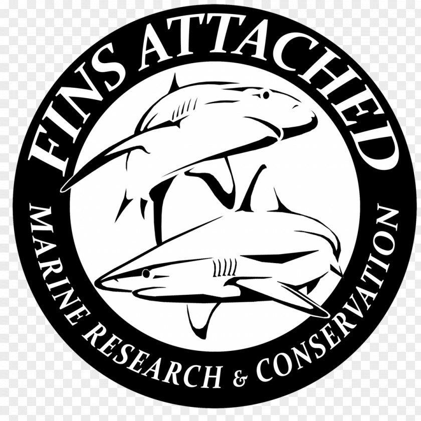 Shark Attack Logo Fins Attached Jog-A-Thon Clip Art Drawing PNG