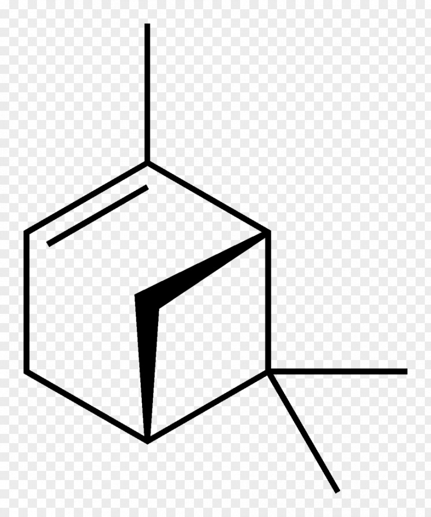 Alpha-Pinene Beta-Pinene Essential Oil Limonene PNG