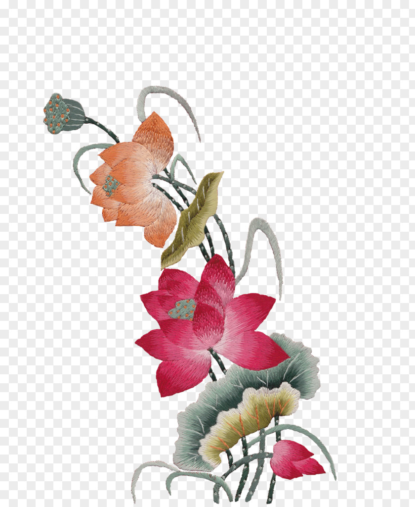 Hand-painted Lotus Nelumbo Nucifera Floral Design Plant PNG