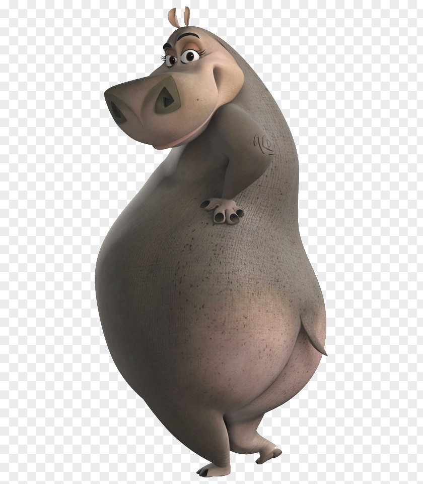 Hippo Gloria Alex Melman Marty Madagascar PNG