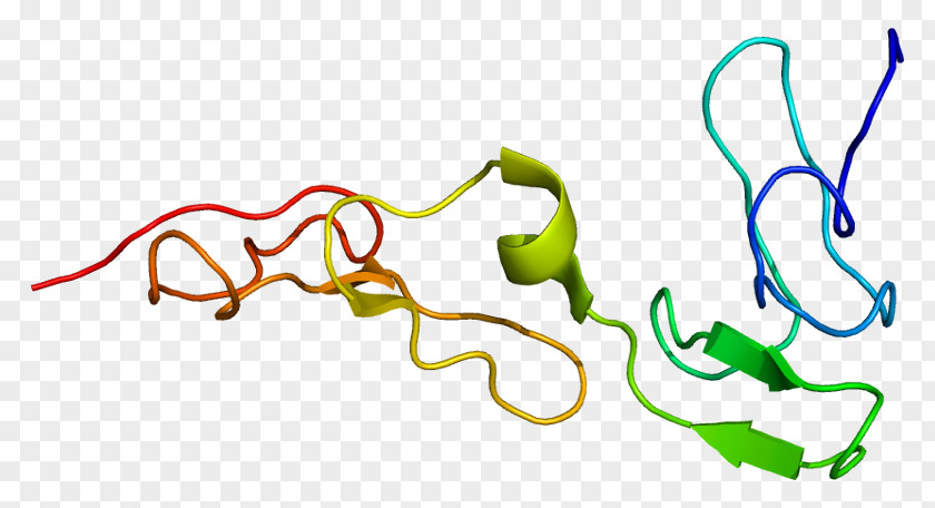 Protein S Deficiency Myelin Zero PNG
