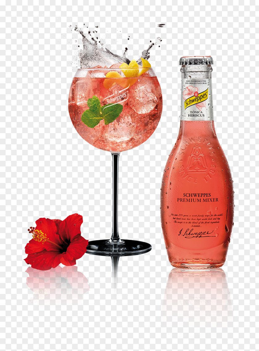 Wine Tonic Water Cocktail Spritz Gin And PNG