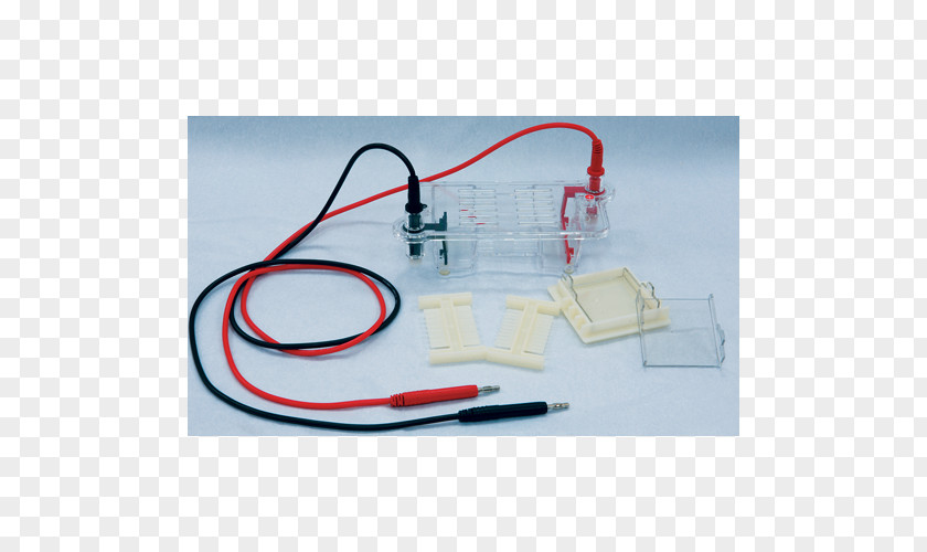 Agarose Gel Electrophoresis PNG