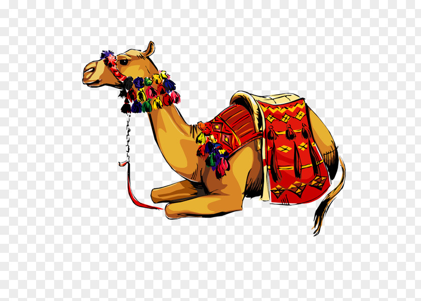 Camel Caravan Dromedary Llama کوهان Domestic Animal PNG