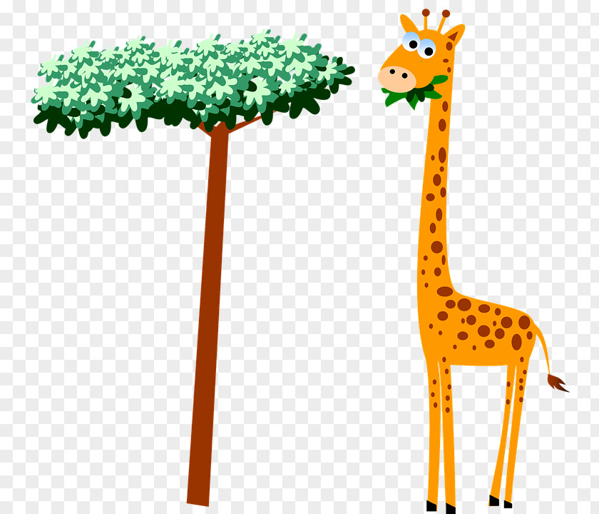 Cartoon Giraffe Eating Leaves Baby Giraffes Clip Art PNG