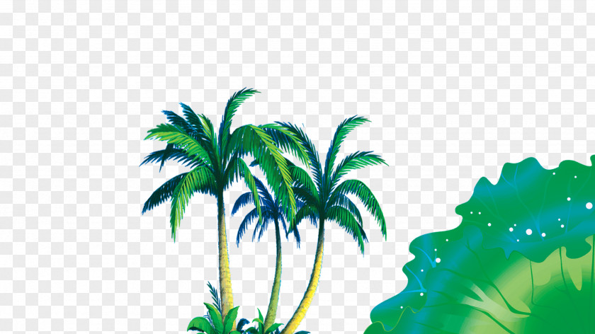 Coconut Tree Download PNG