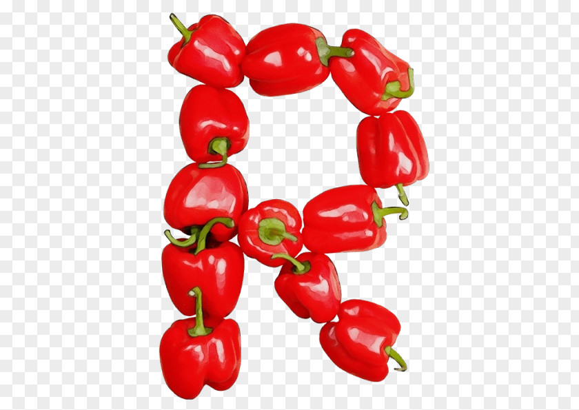 Flower Natural Foods Plant Red Bell Peppers And Chili Food Fruit PNG
