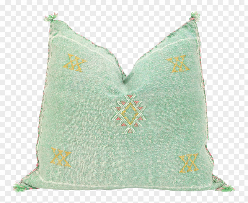 Pillow Charlotte & Co Silk Throw Pillows Sabra Cactus PNG