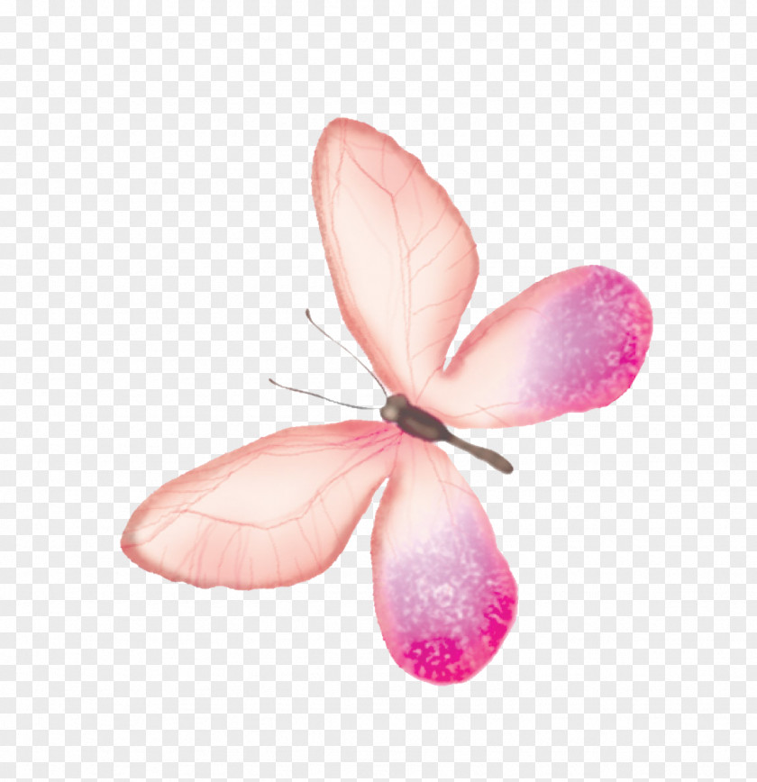 Pink Butterfly Transparency And Translucency PNG