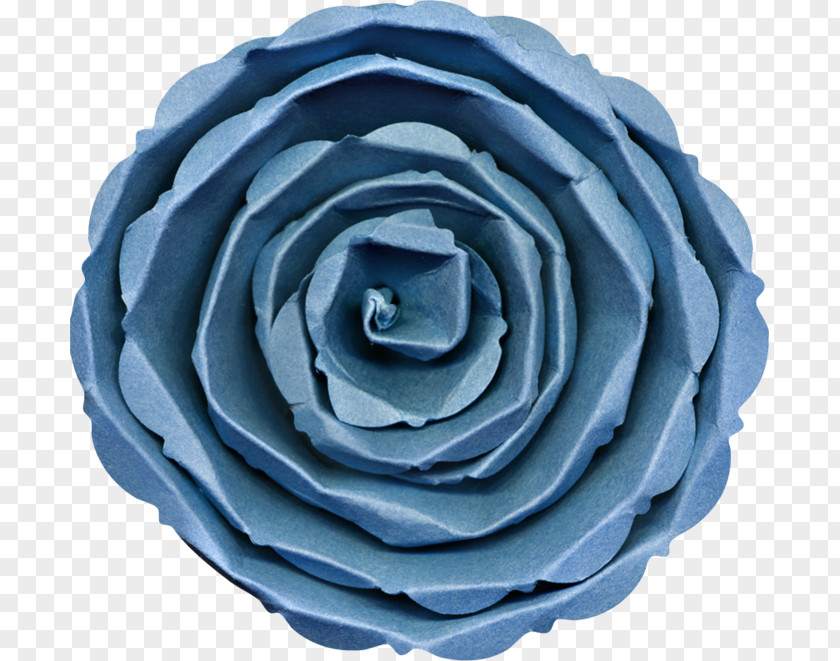 Rose Garden Roses Blue Petal PNG