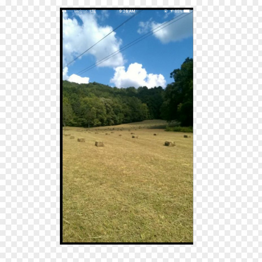 Biome Grassland Steppe Land Lot Ranch PNG