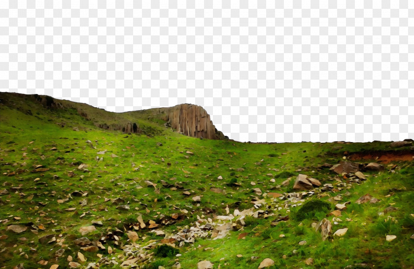 Biome Shrubland Vegetation Steppe Grassland PNG