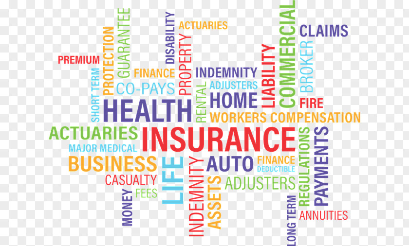 Business General Insurance Health National Company PNG