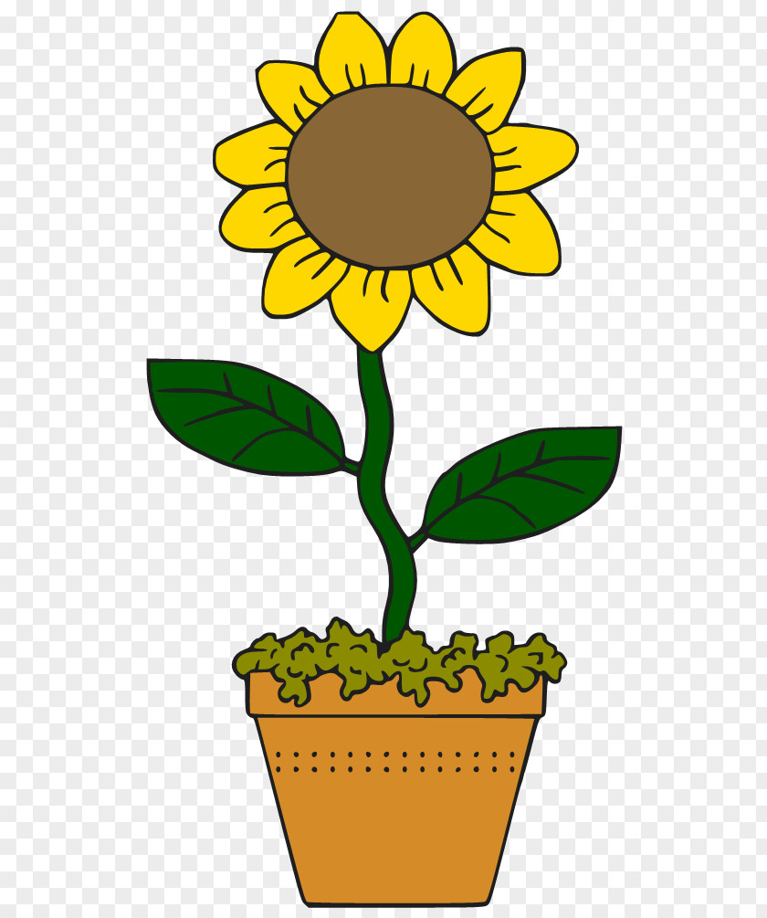 Cartoon Sunflower Cliparts Common Drawing Clip Art PNG