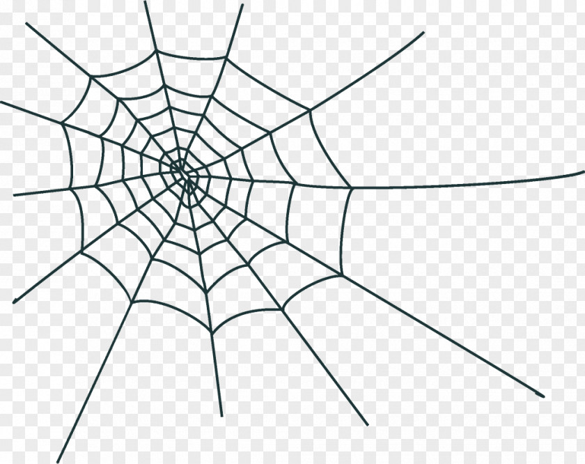 Diagram Line Art Spider Web Halloween PNG